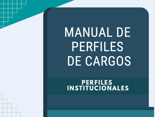 Manual de perfiles de cargo
