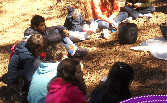 Memorias institucionales 2011-2012