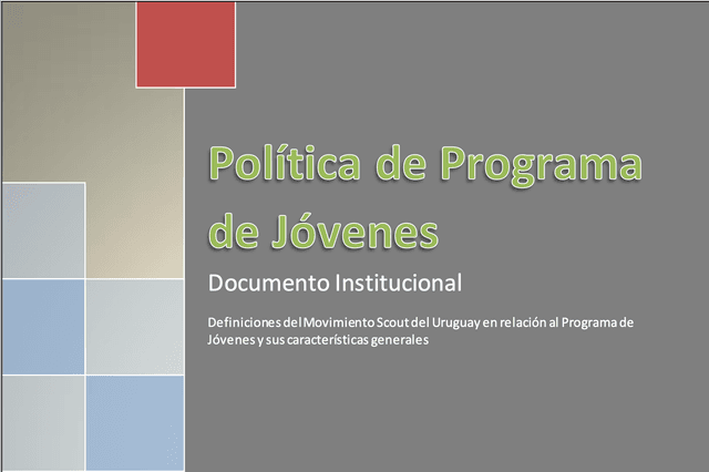 Pol铆tica de Programa de J贸venes