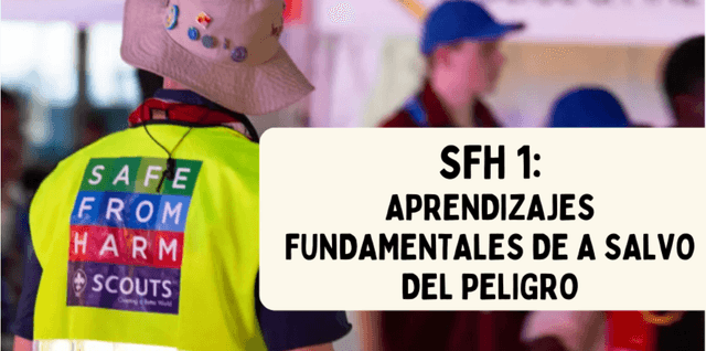 Curso "A salvo del peligro"